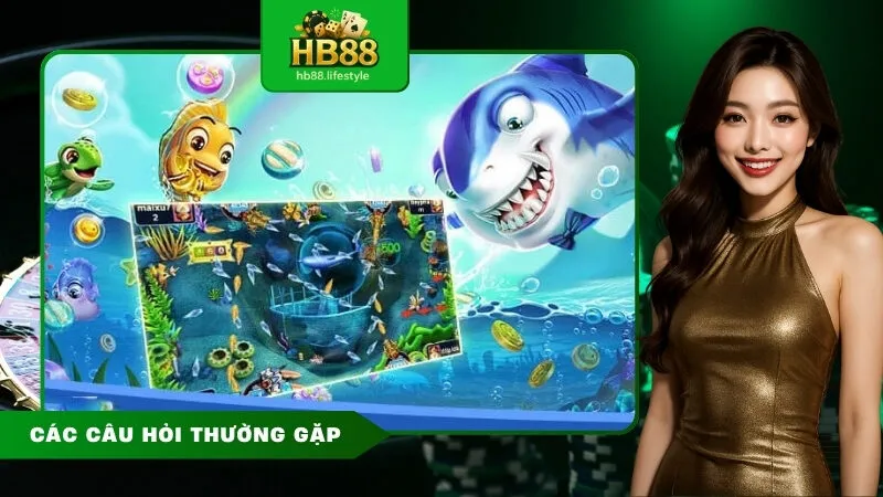 Các Câu hỏi Thường gặp