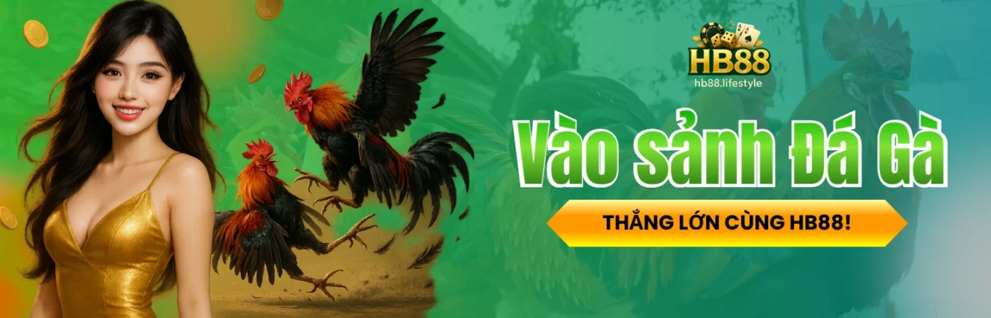 đá gà hb88