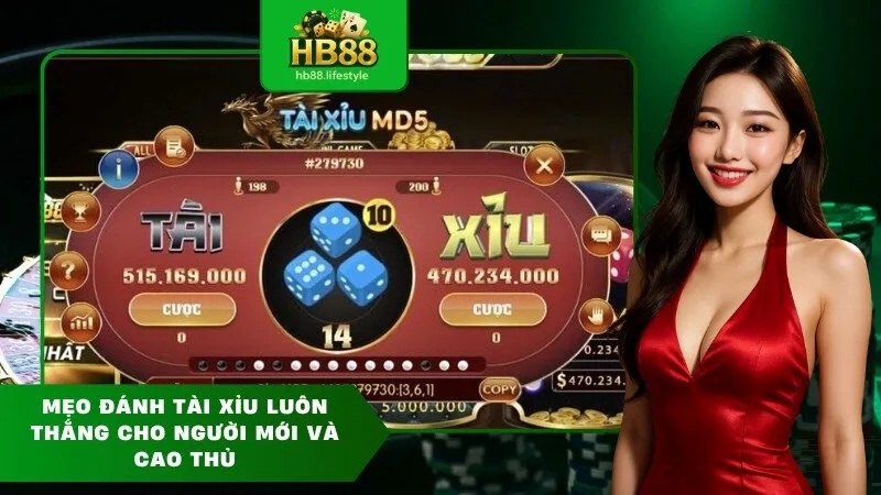 Mẹo đánh tài xỉu luôn thắng cho người mới và cao thủ